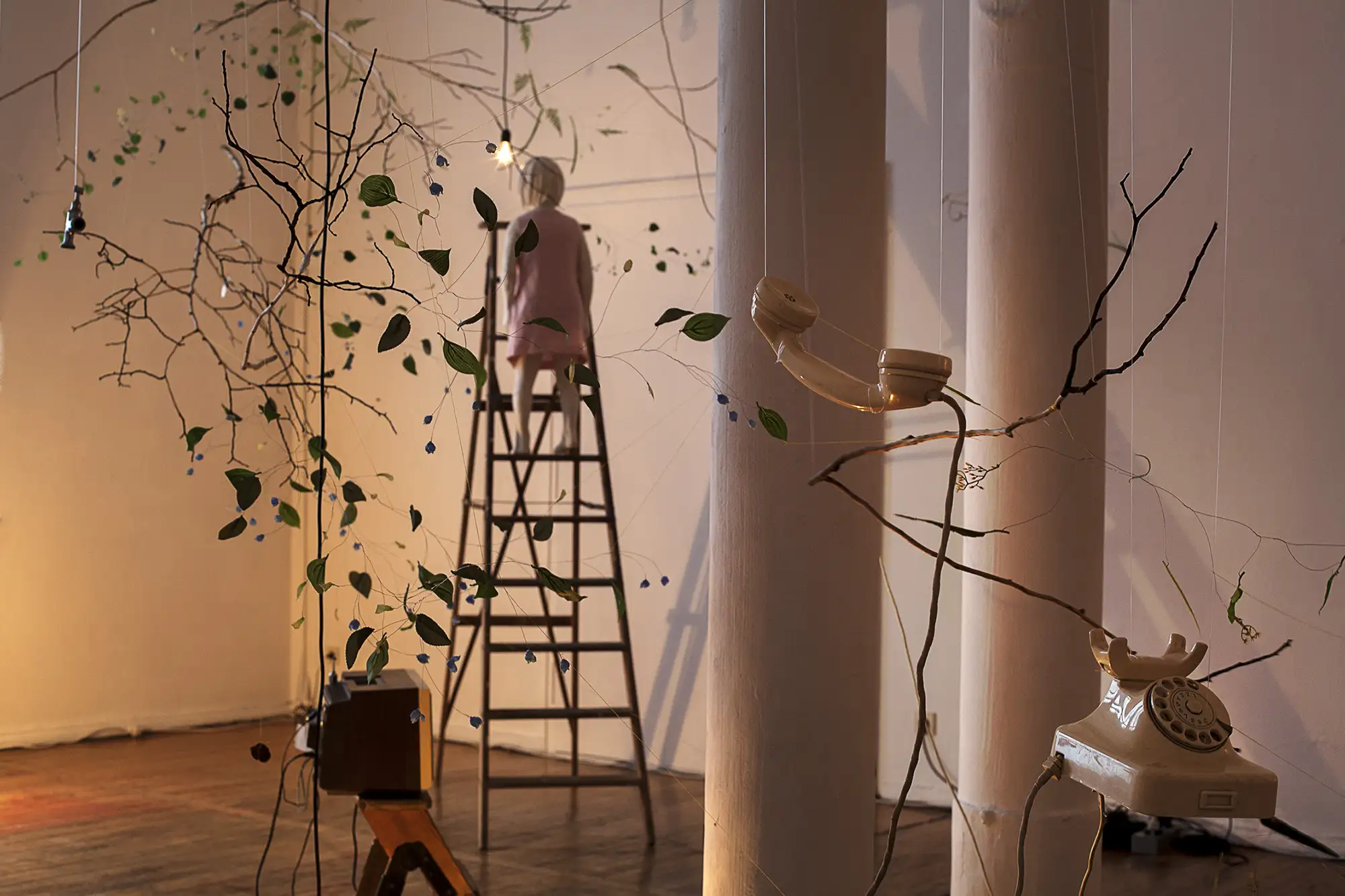 chasing little pasts_TWS detail